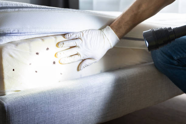 Best Best Pest Control Companies  in Apollo, PA