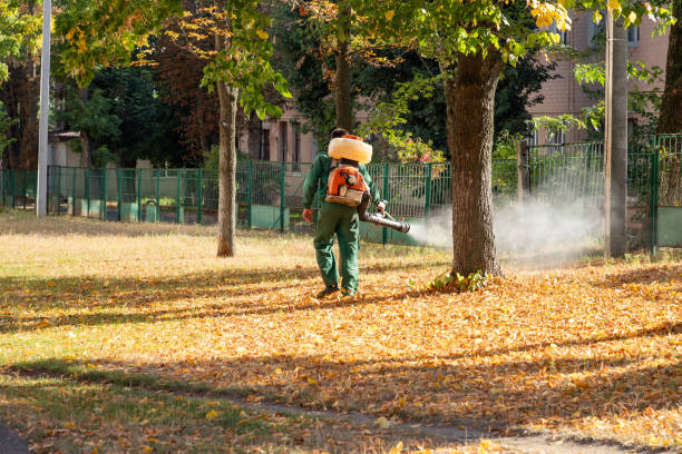 Best Wildlife Control Services  in Apollo, PA