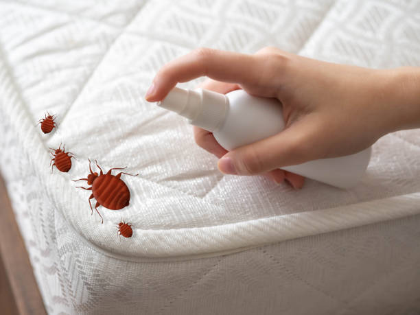 Best Pest Inspection Near Me  in Apollo, PA
