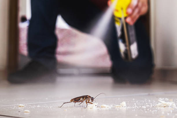 Best Exterminator Services  in Apollo, PA